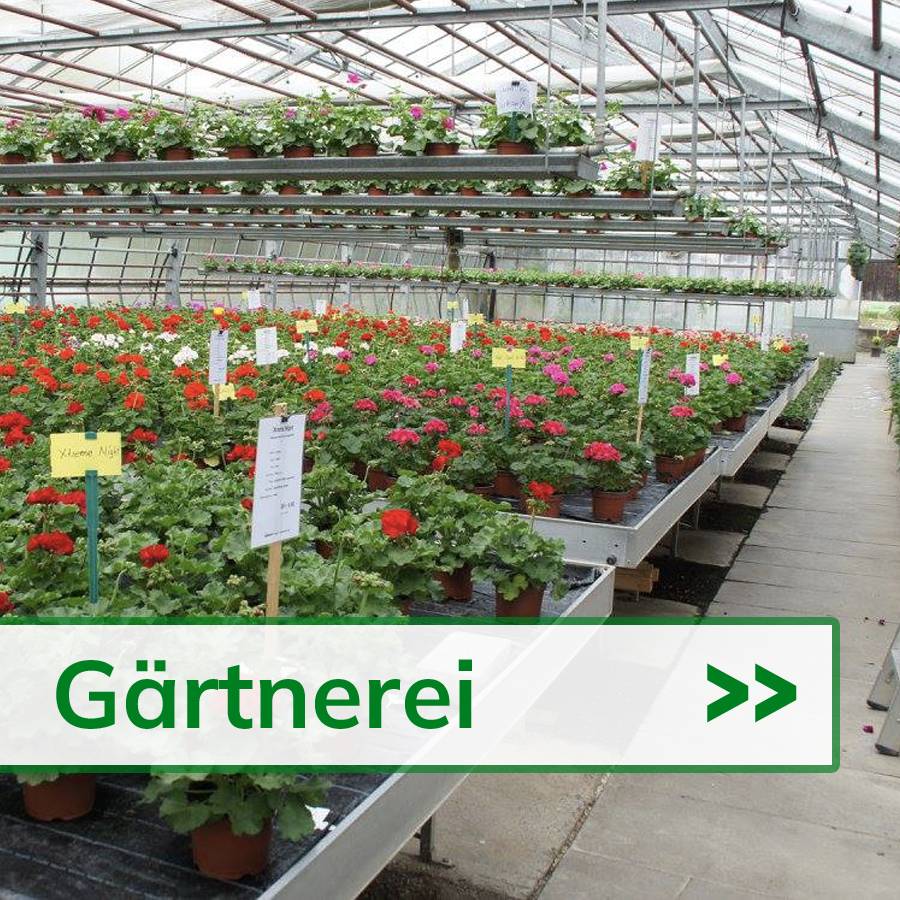 Gärtnerei - Bütikofer Blumen + Gartenbau AG - Rüdtligen-Alchenflüh 